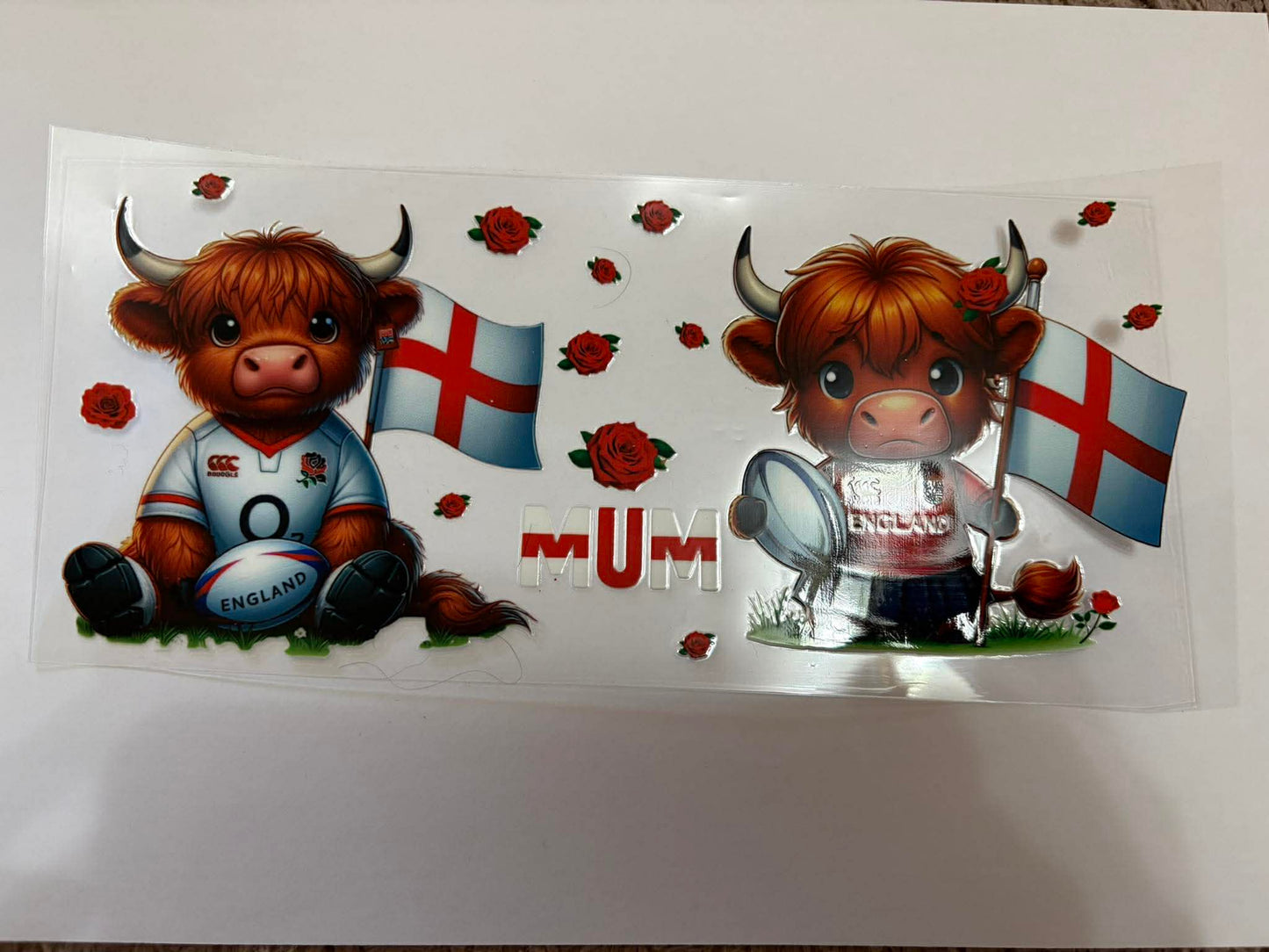 England Cow rugby wrap